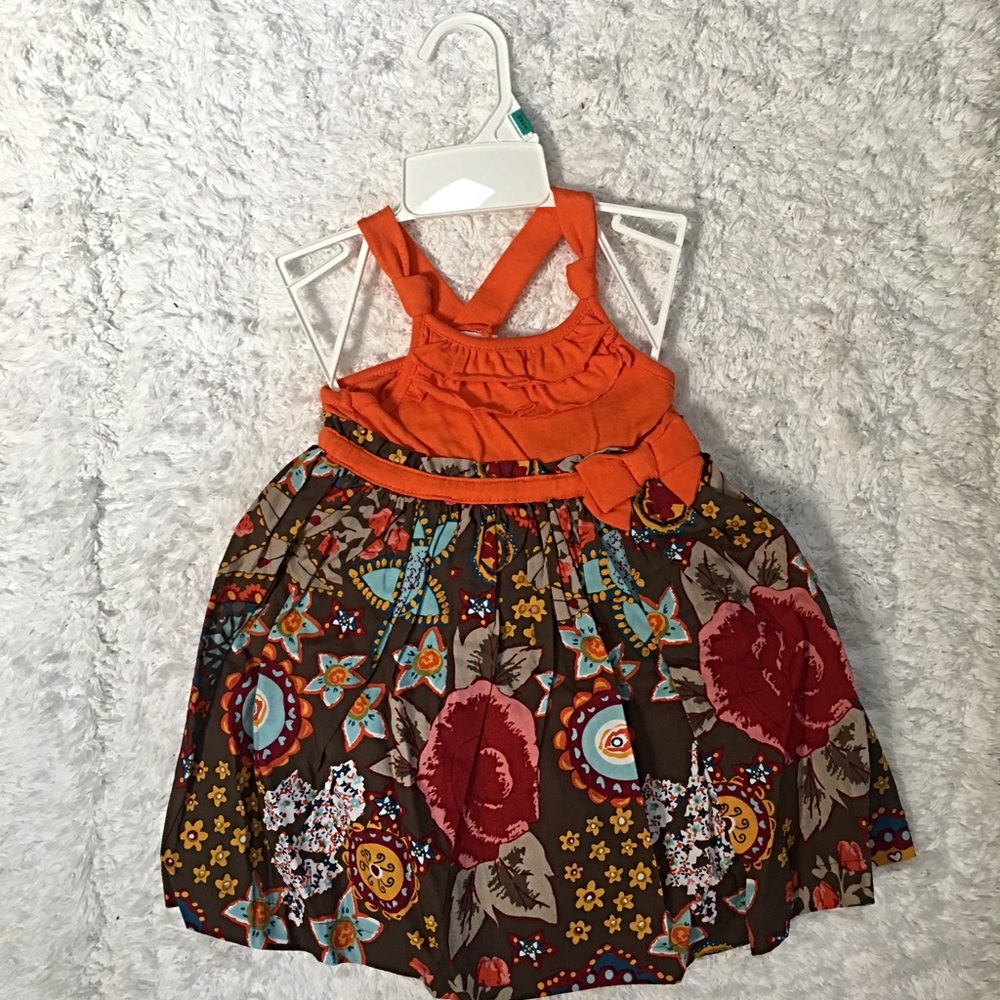 NWT Blueberri Spring dress with diaper cover 18mon
